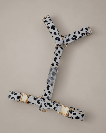 Zebra / Dalmatian Harness