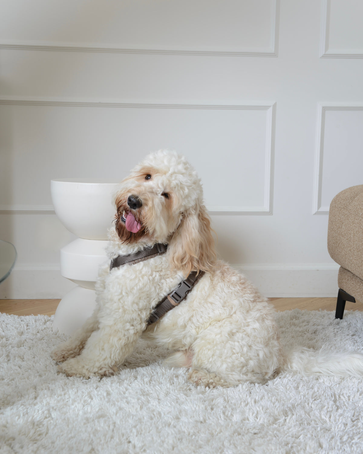 Tweed Harness