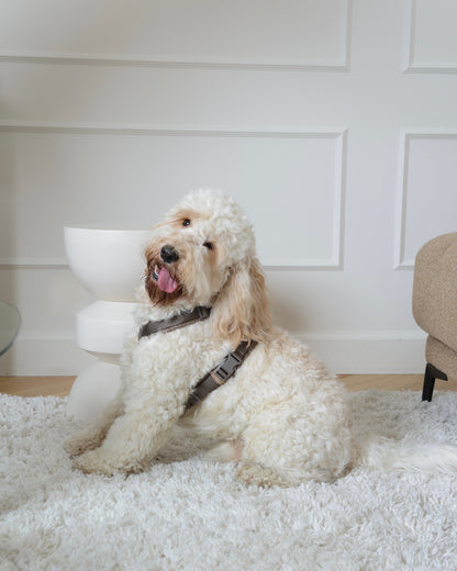 Tweed Harness
