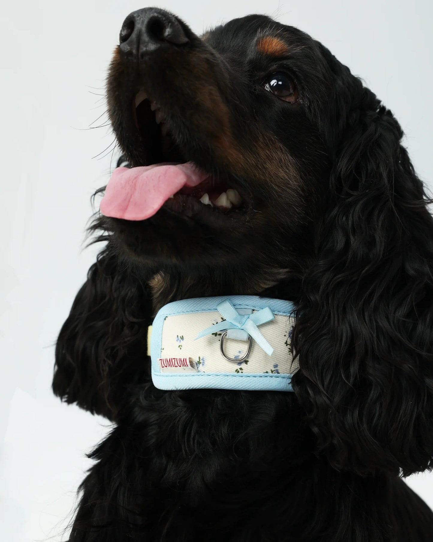 【予約】Neck Protection Pet Collar / 2Color