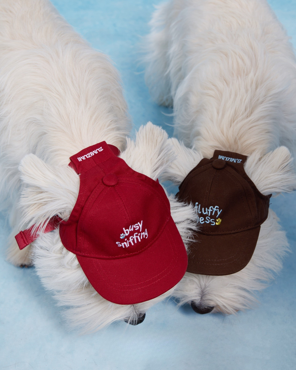 【予約】Pet Baseball Cap / 2Color