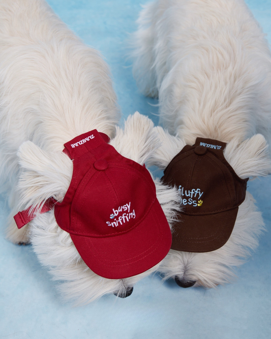 【予約】Pet Baseball Cap / 2Color