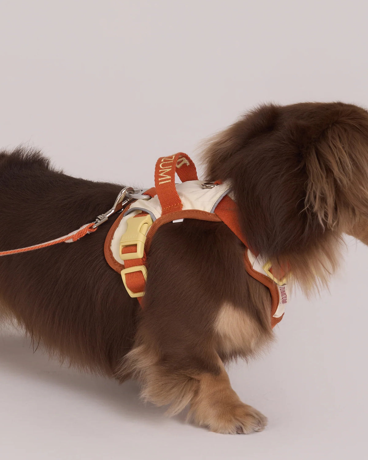 【予約】Chelsea Pie Harness / 2Color