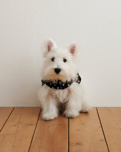 CAPENESS NO.24 leash _ Black
