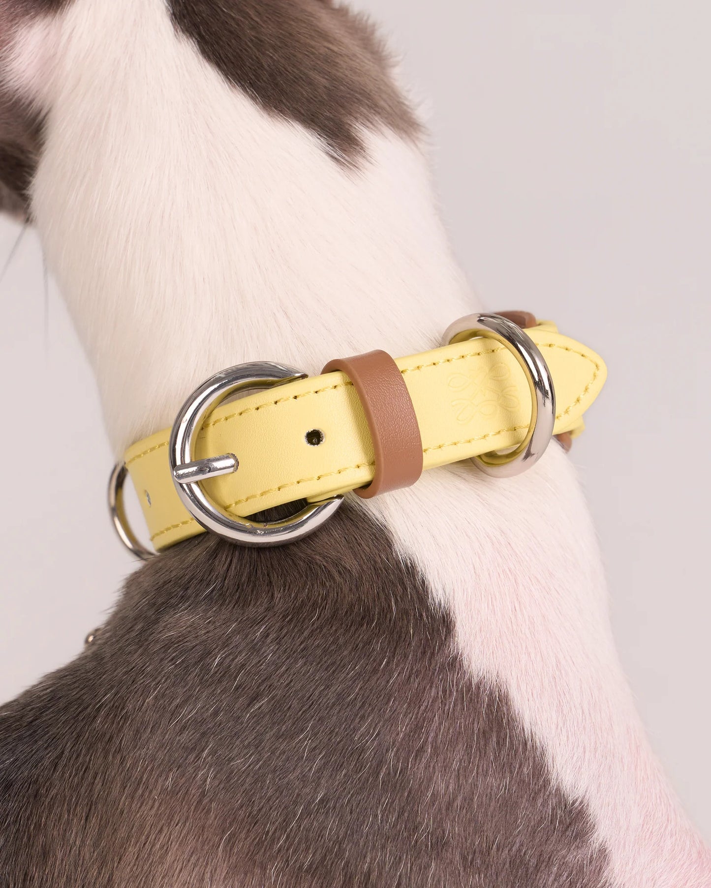 【予約】Scalloped Leather Collar / 3Color