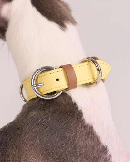 【予約】Scalloped Leather Collar / 3Color