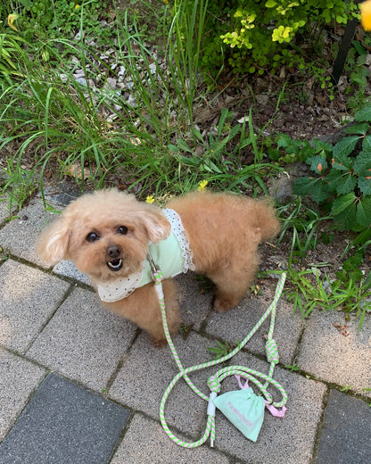 【予約】Dot Denim Harness / Mint
