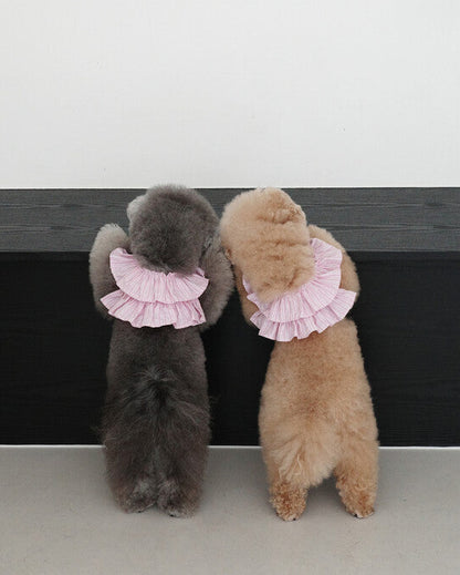 CAPENESS NO.19_PINK STRIPE