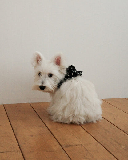CAPENESS NO.24 leash _ Black