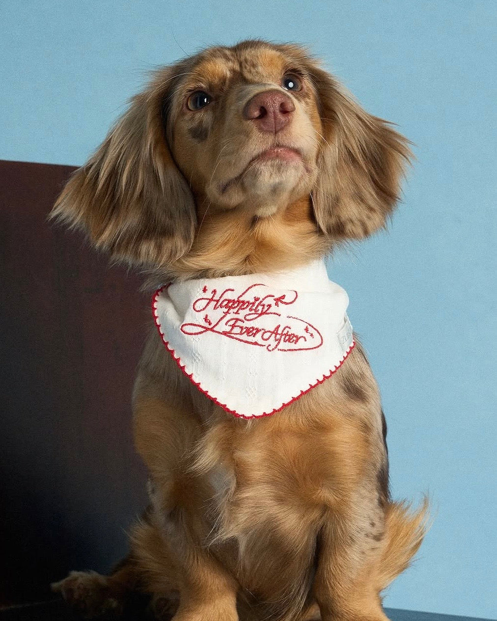 【予約】Happily Ever After Bandana / 2Color