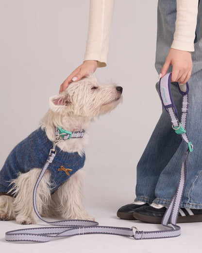 【予約】Biscuit Hands-free Leash / 2Color