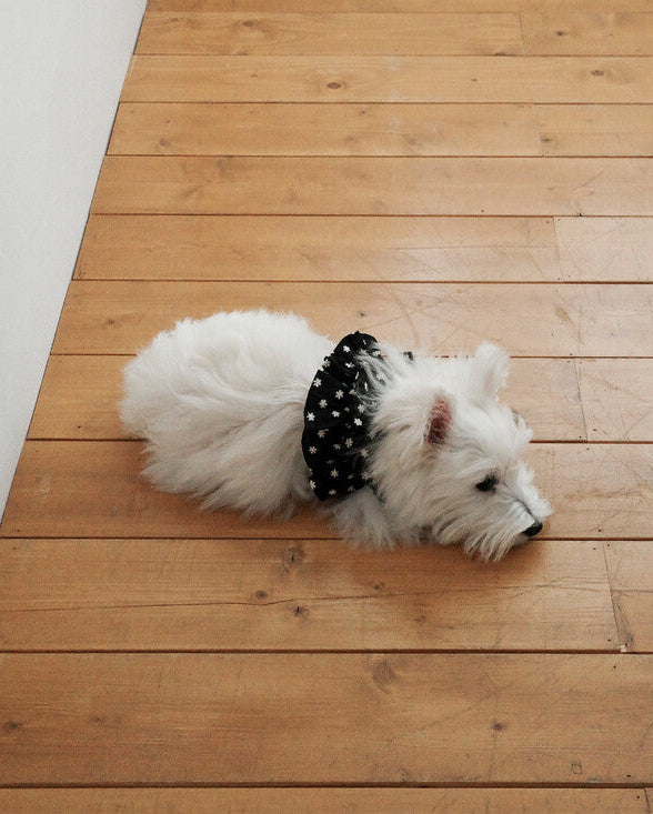 CAPENESS NO.24 leash _ Black