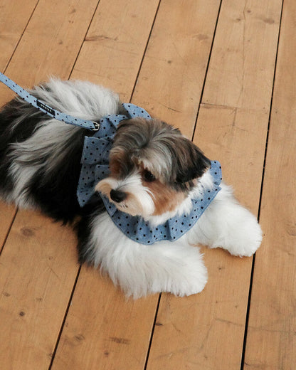 CAPENESS NO.22 leash _ Dot Denim