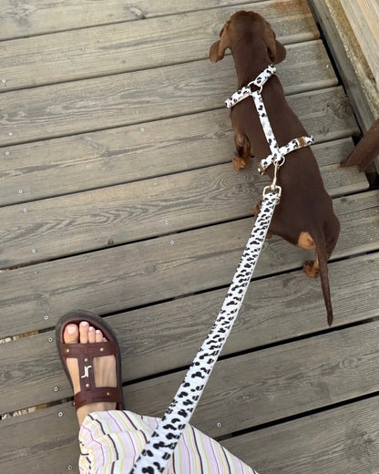 Zebra / Dalmatian Multiway Leash