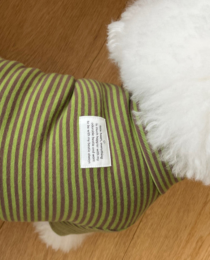 Everyday Stripe Turtle-Neck / 4Color