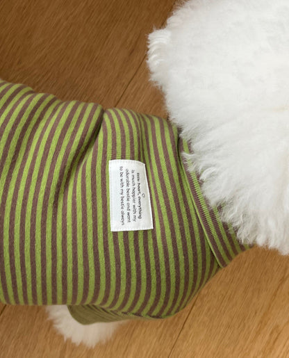 Everyday Stripe Turtle-Neck / 4Color