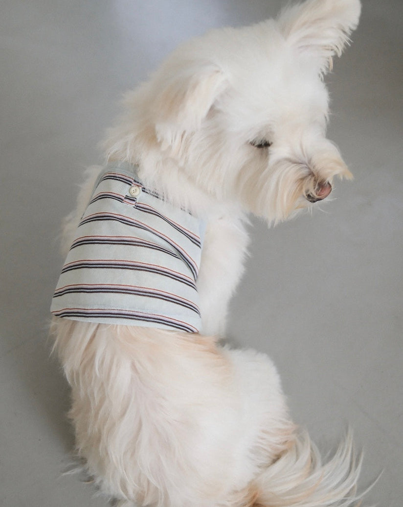 Positano Henley Tops / 3Color