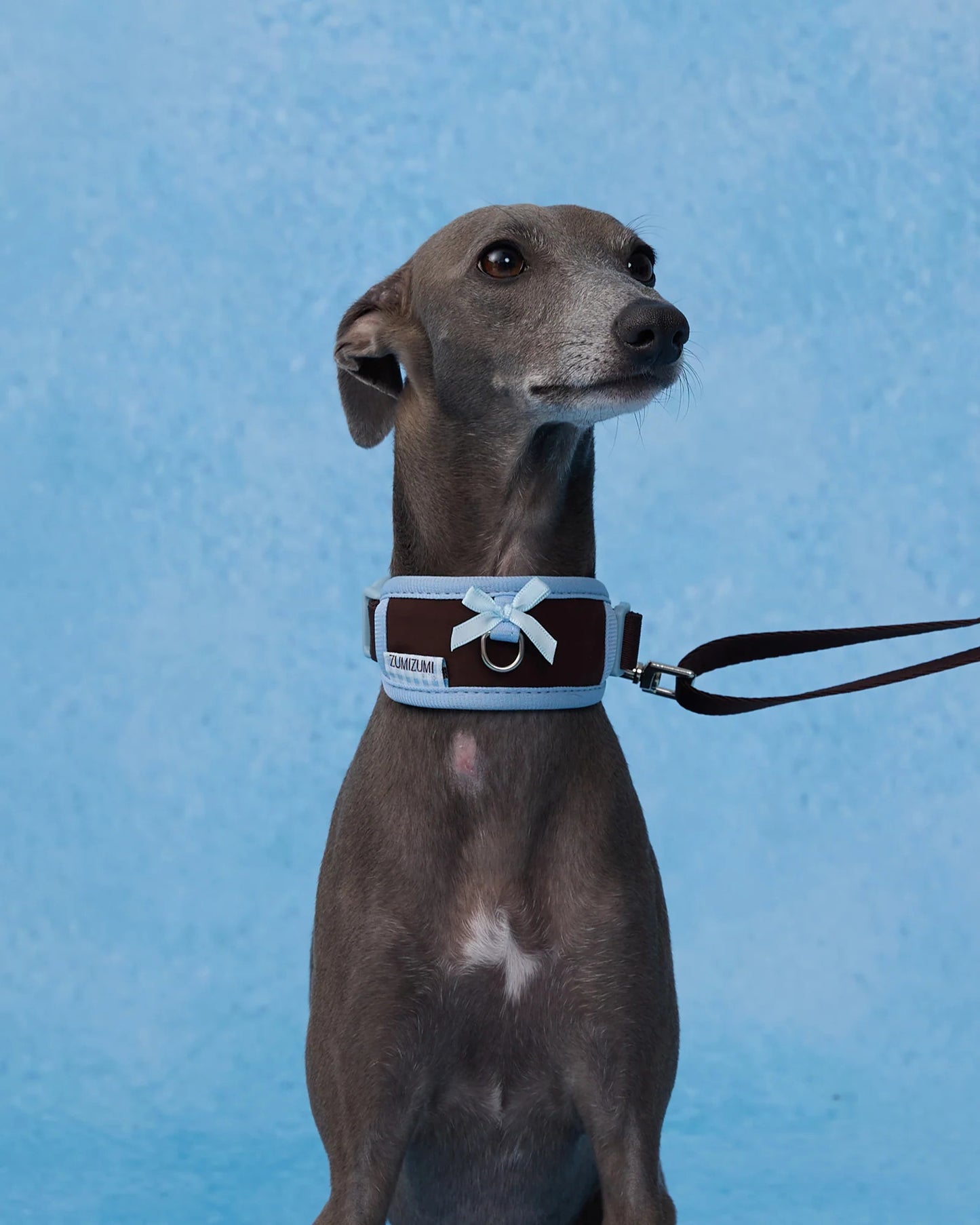 【予約】Neck Protection Pet Collar / Classic (Brown・Blue)