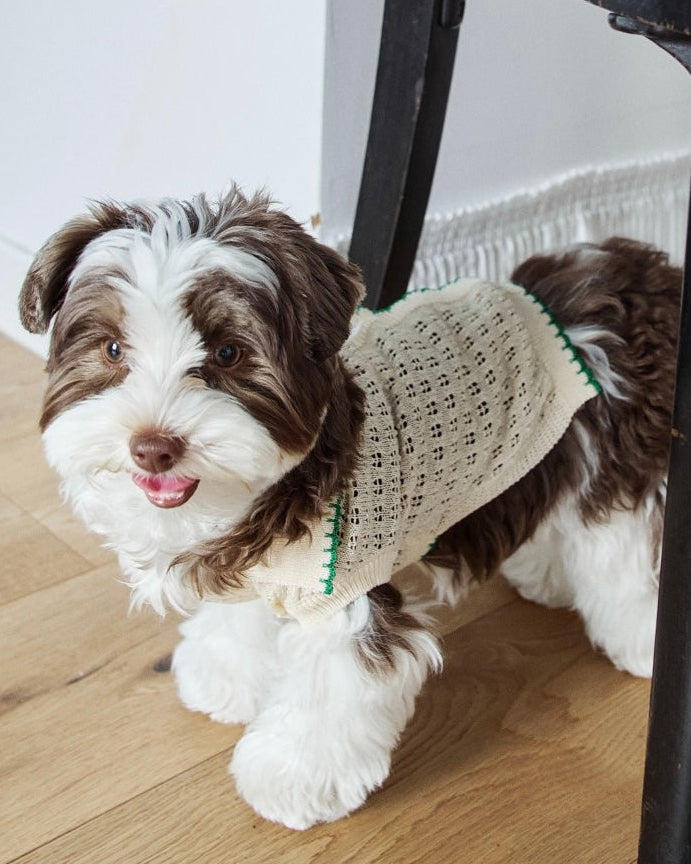 Cool Air Crochet Knit / Fair Green