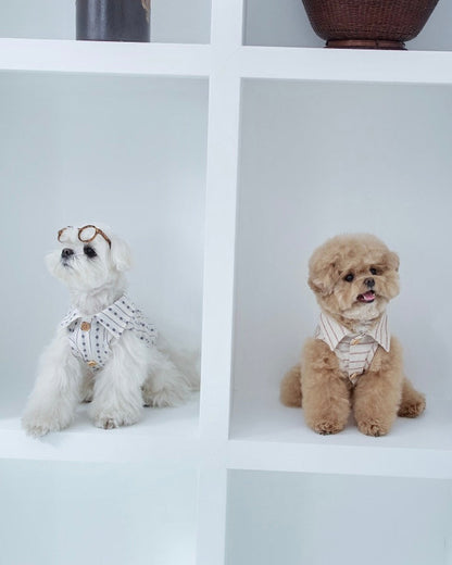 ストライプシャツのBIMEEドッグウェアを着た2匹の犬（棚）