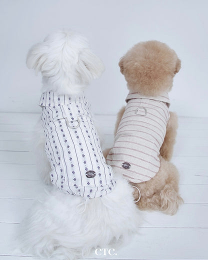 ストライプシャツのBIMEEドッグウェアを着た2匹の犬（後ろ）