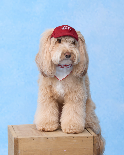 【予約】Pet Baseball Cap / 2Color