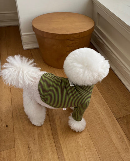 Everyday Stripe Turtle-Neck / 4Color