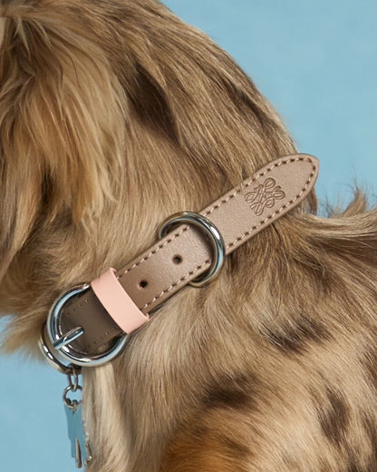 【予約】Scalloped Leather Collar / 3Color