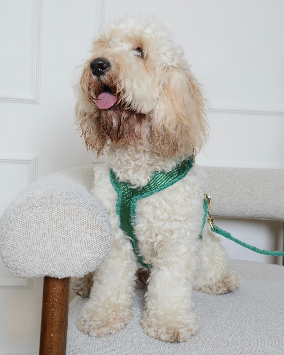 Tweed Harness