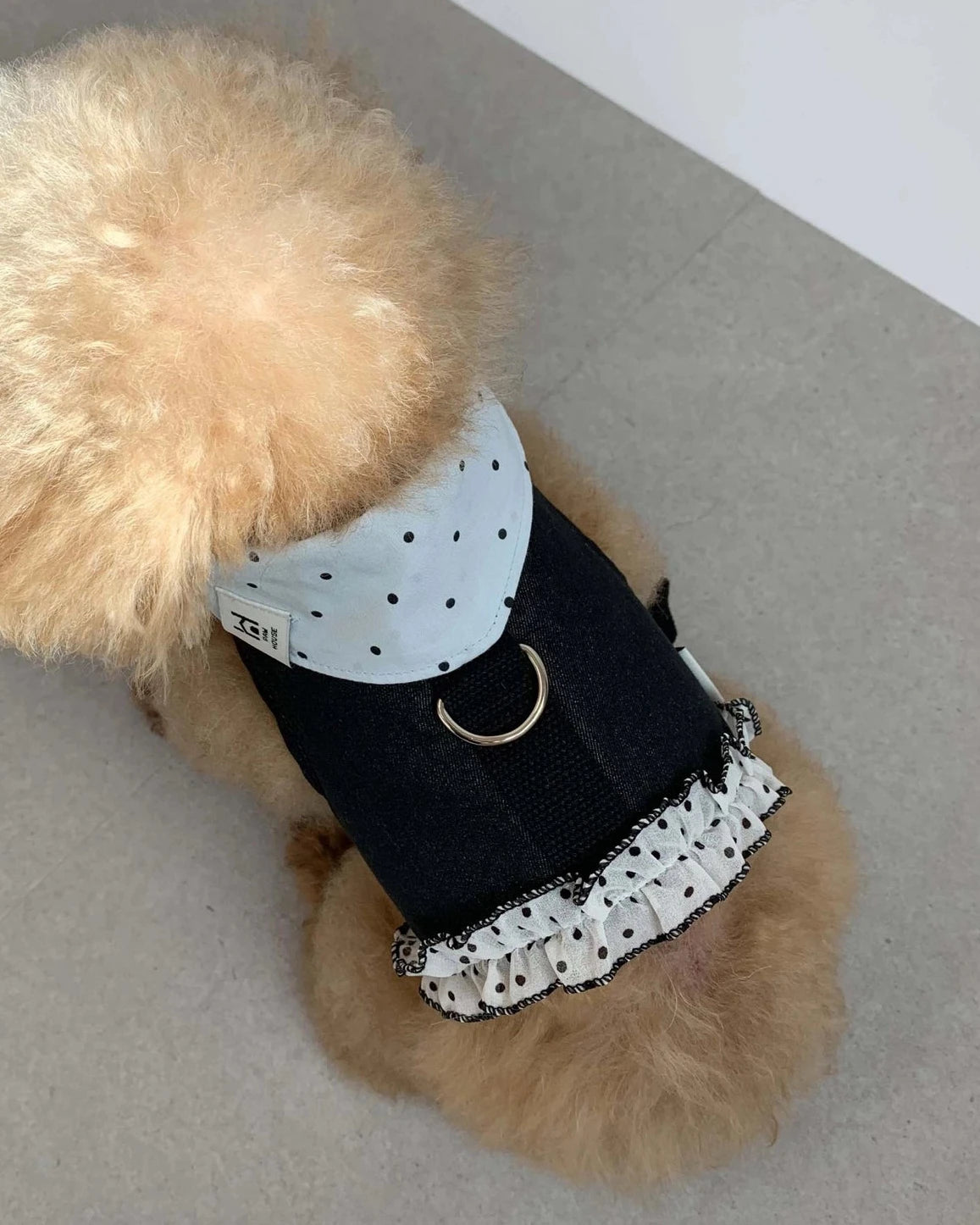 【予約】Dot Denim Harness / Dark Indigo
