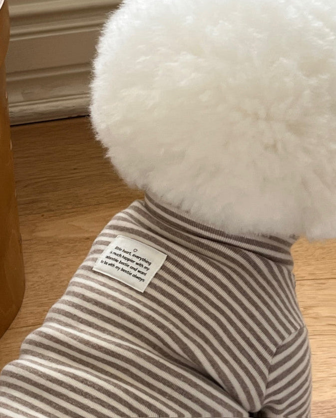 Everyday Stripe Turtle-Neck / 4Color