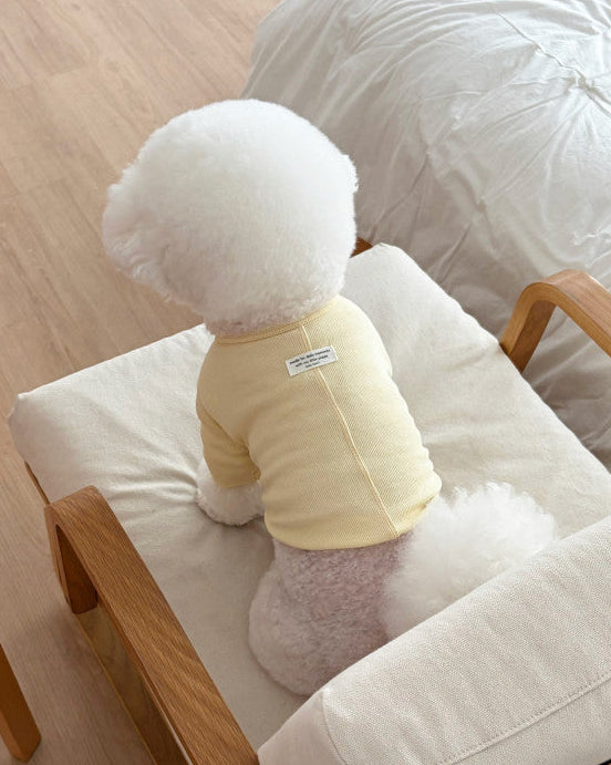 Like Daily T-Shirt / 4Color