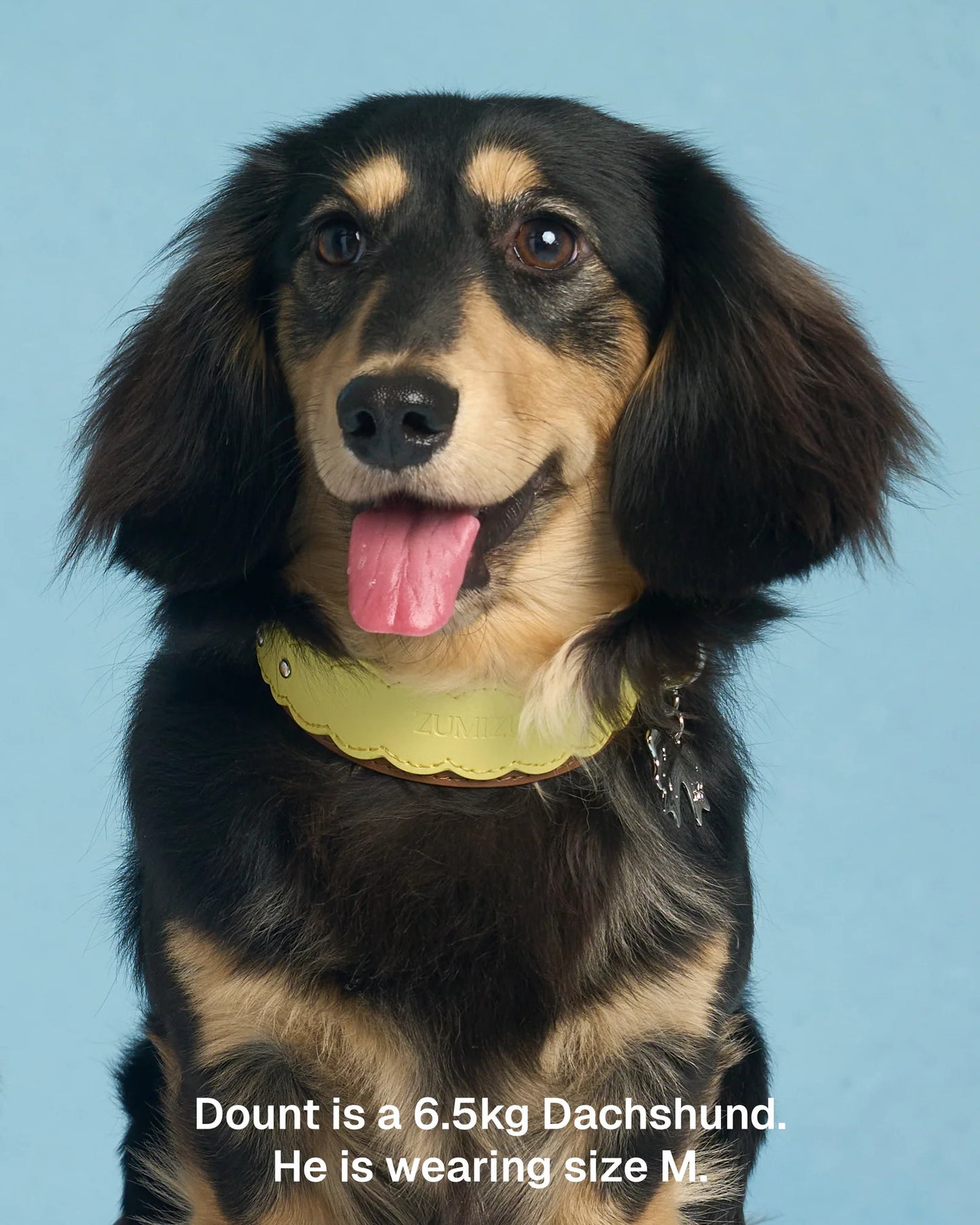 【予約】Scalloped Leather Collar / 3Color