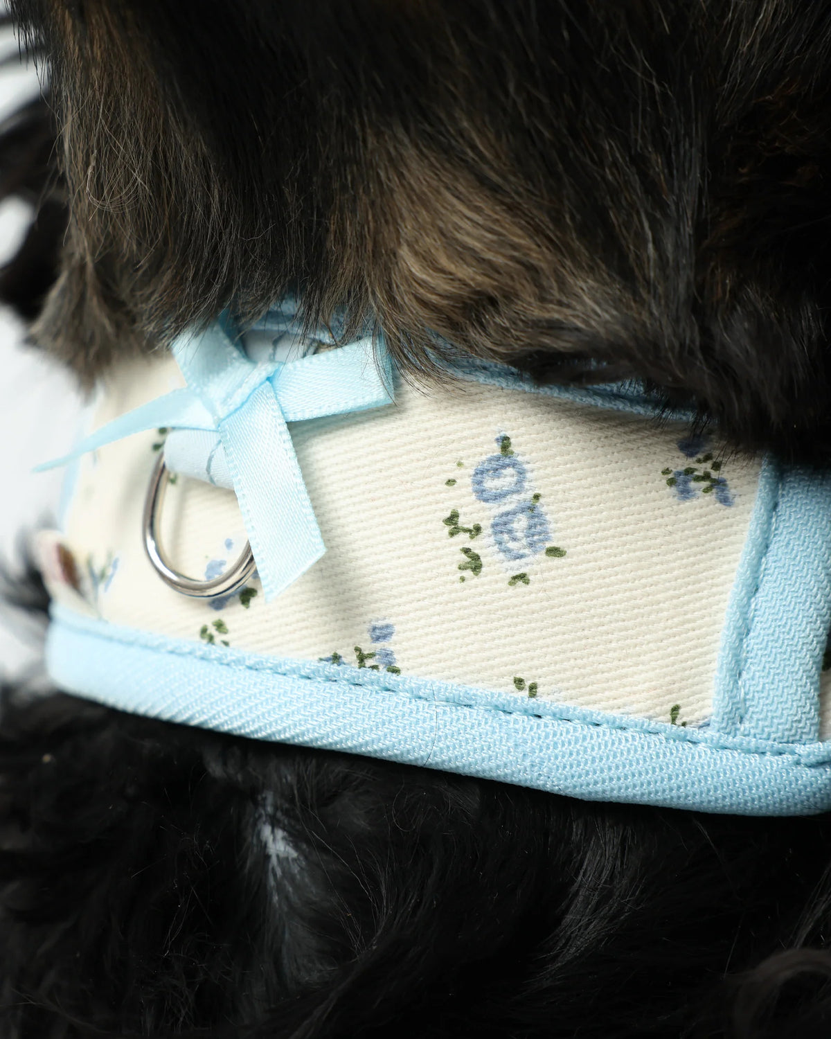 【予約】Neck Protection Pet Collar / 2Color