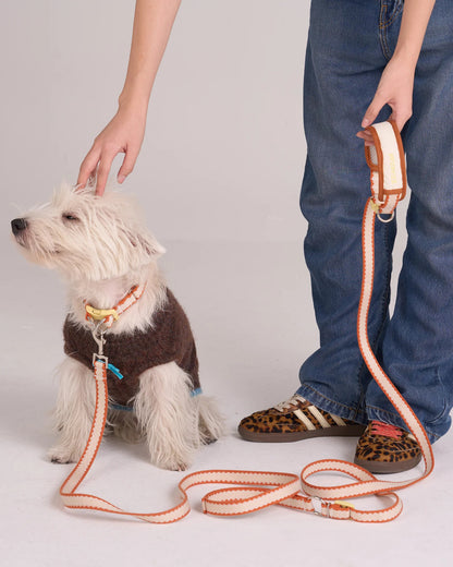 【予約】Biscuit Hands-free Leash / 2Color