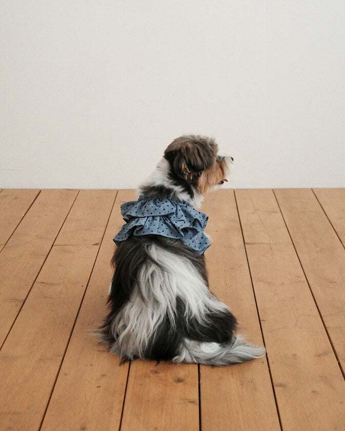 CAPENESS NO.22 leash _ Dot Denim