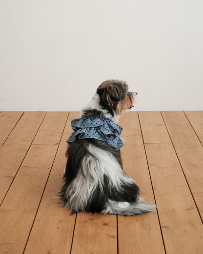 CAPENESS NO.22 leash _ Dot Denim