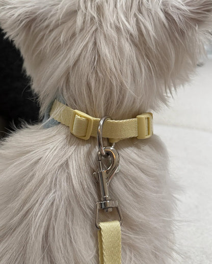 【予約】Neck Protection Pet Collar / 2Color