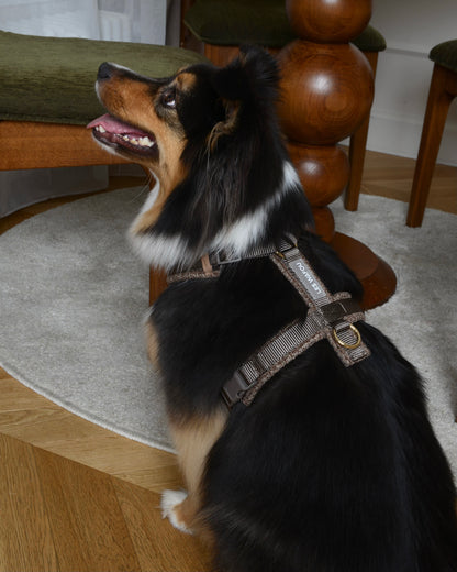 Tweed Harness