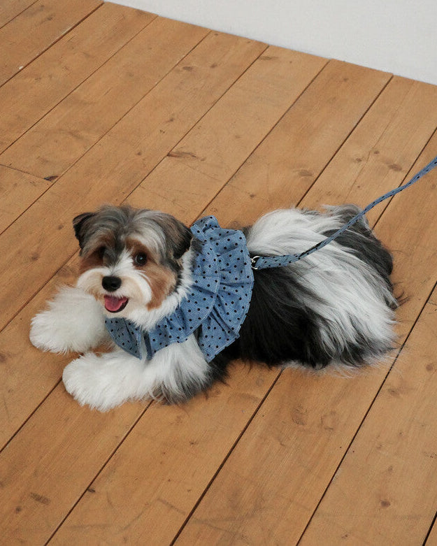 CAPENESS NO.22 leash _ Dot Denim