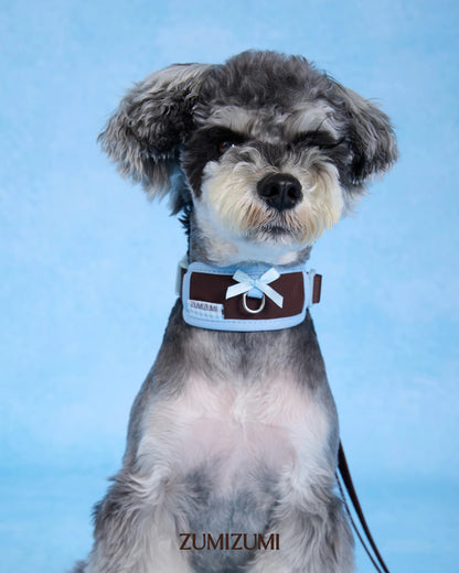 【予約】Neck Protection Pet Collar / Classic (Brown・Blue)
