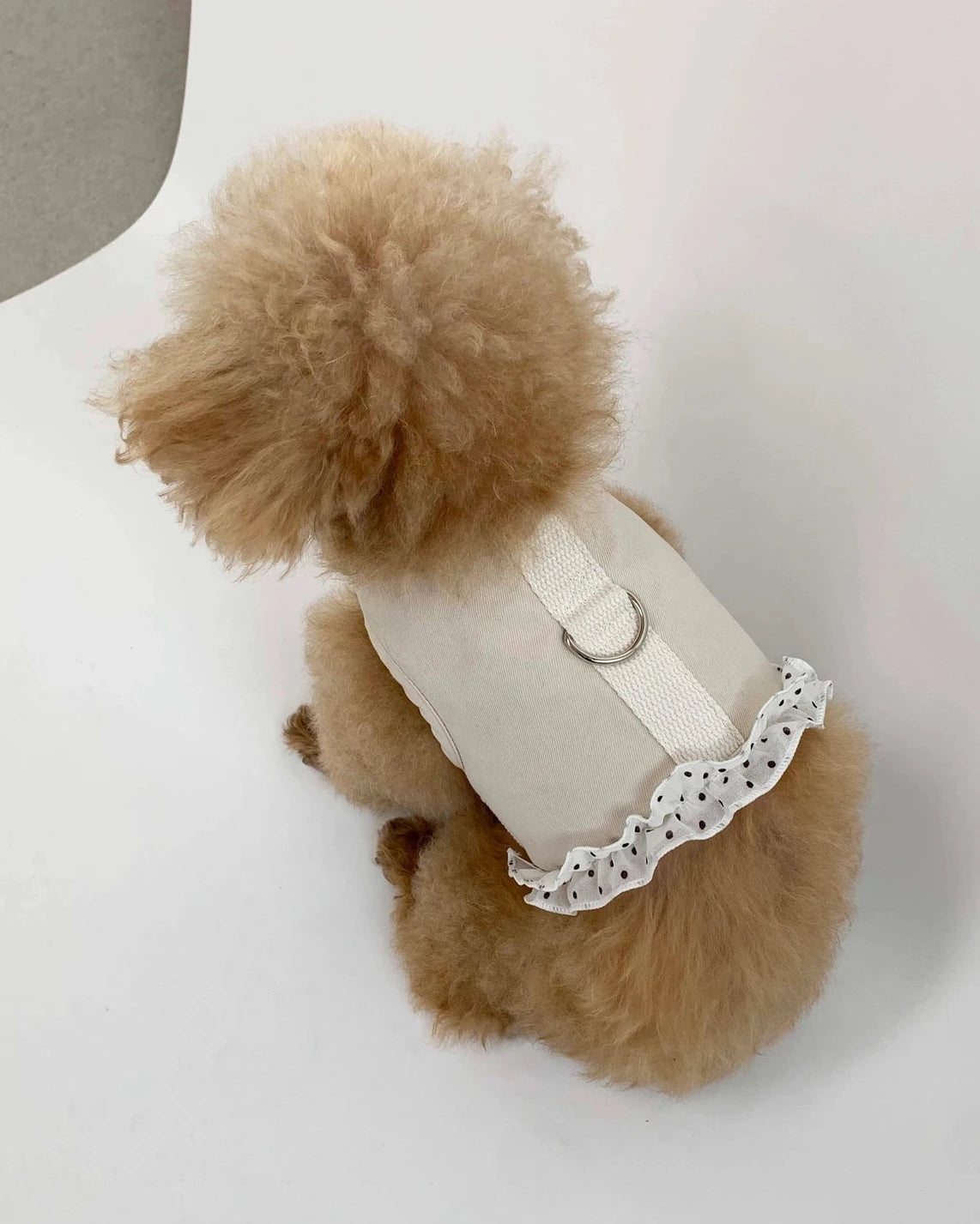 【予約】Dot Denim Harness / Cream