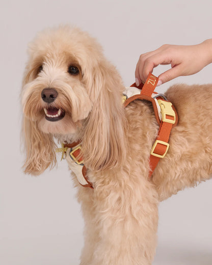 【予約】Chelsea Pie Harness / 2Color