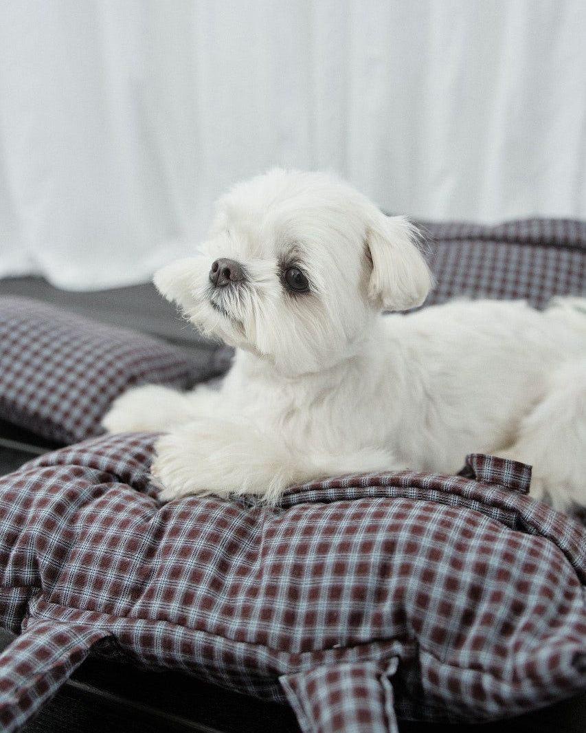 Cloud Pudding Bag / Brown Check
