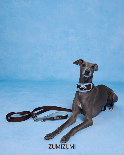 【予約】Neck Protection Pet Collar / Classic (Brown・Blue)