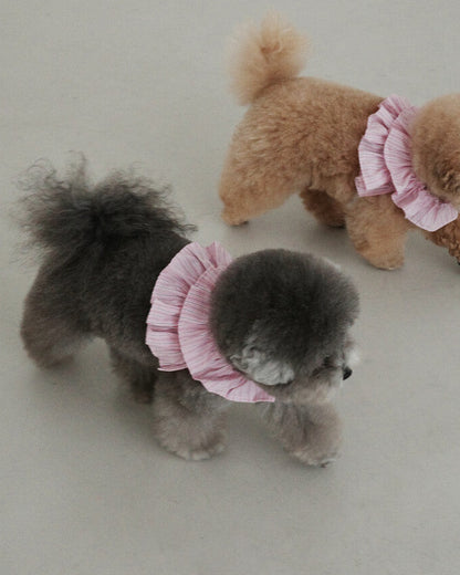 CAPENESS NO.19_PINK STRIPE