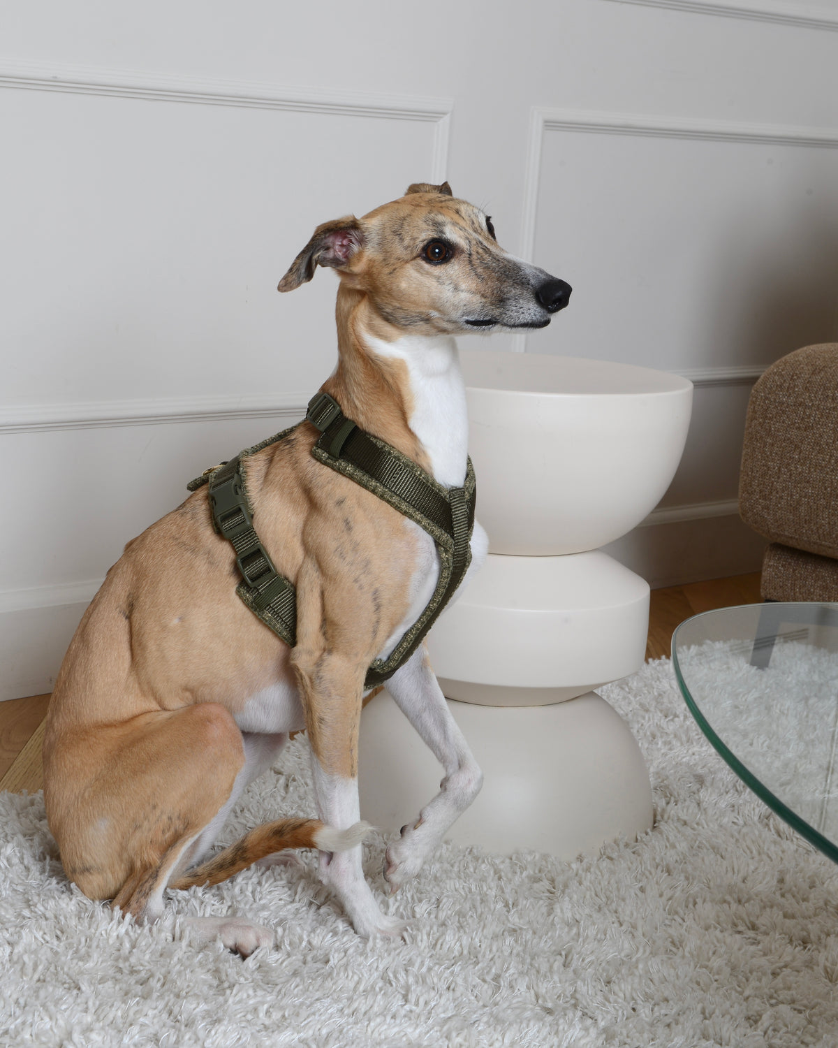 Tweed Harness