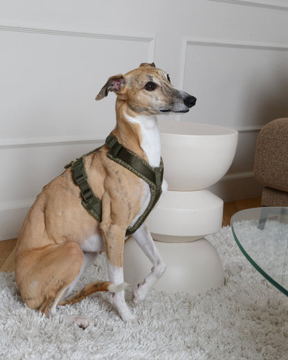 Tweed Harness