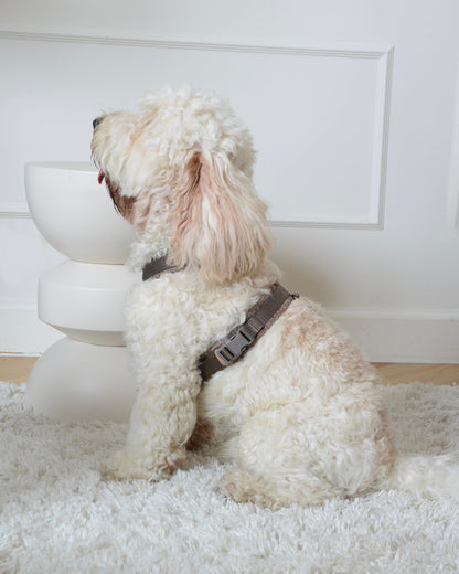 Tweed Harness