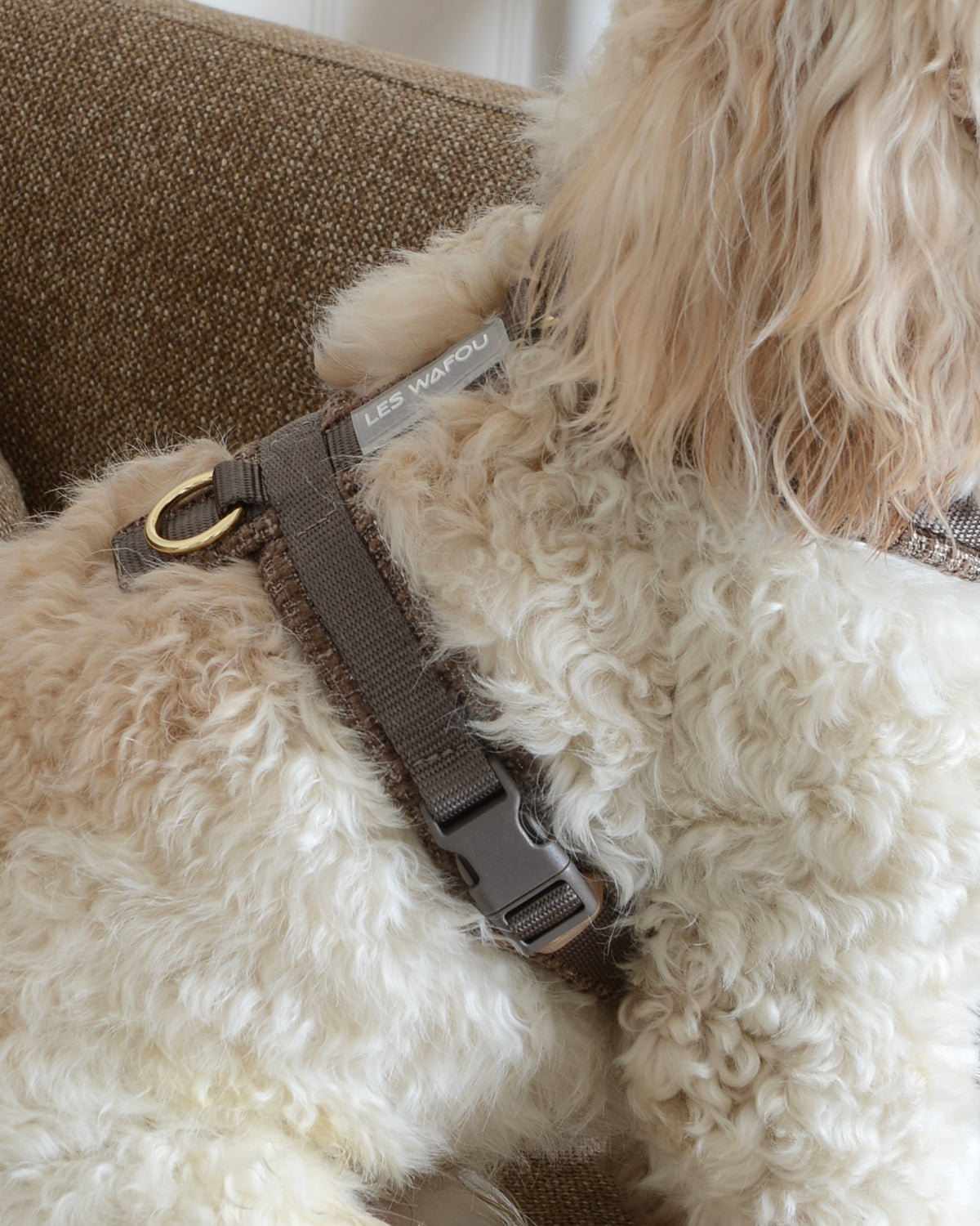 Tweed Harness